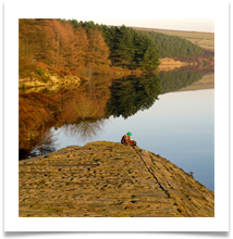 Reflecting - Anne Tidswell